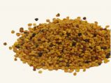 Blütenpollen