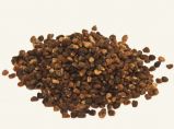 Cardamom reine Saat ganz