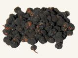 Tasmanischer Pfeffer